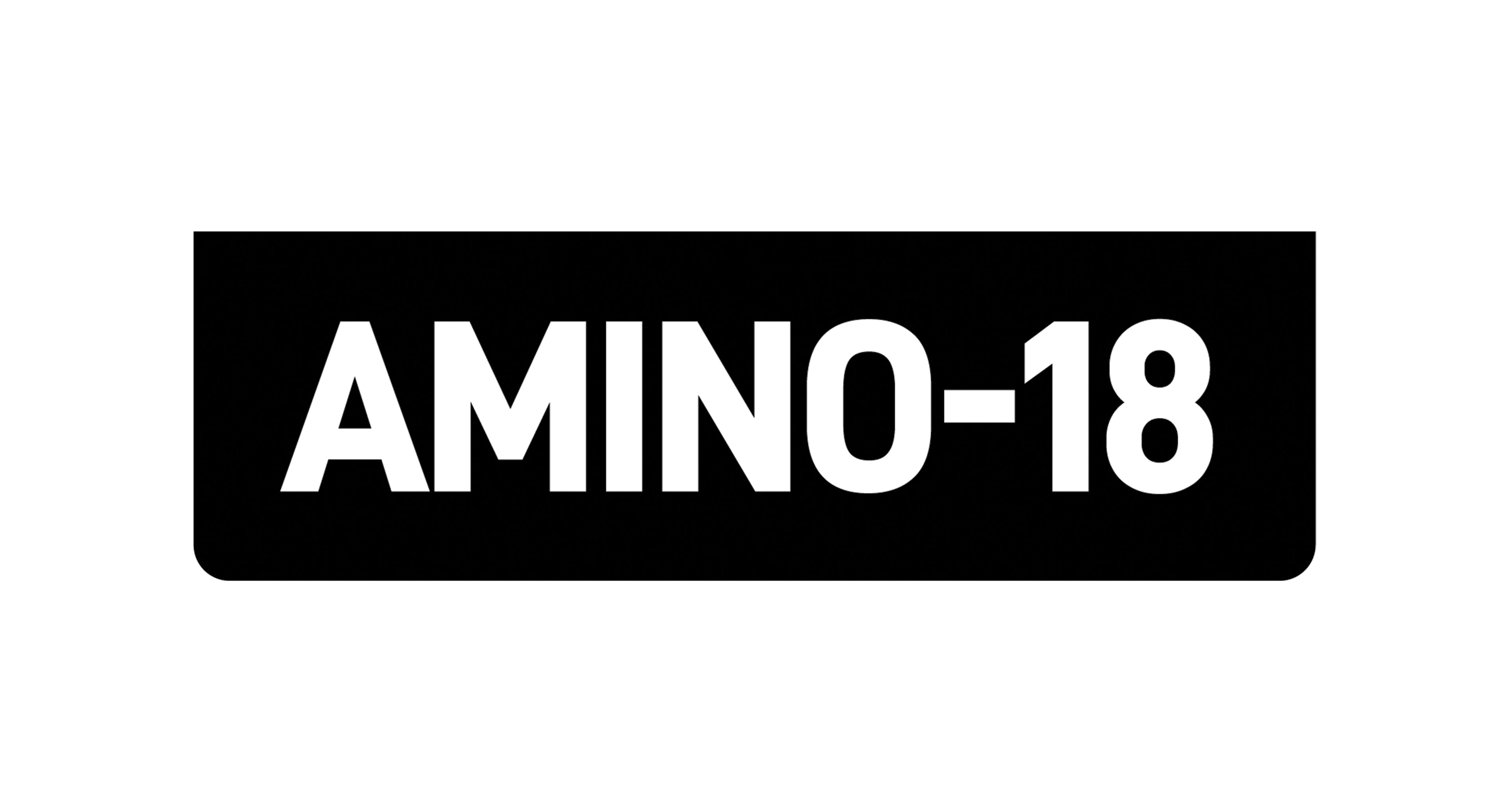 Amino 18 Repair System